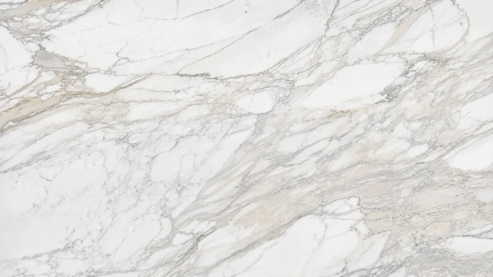 Calacatta White Natural Marble Tiles For Dining Tops thumbnail 2