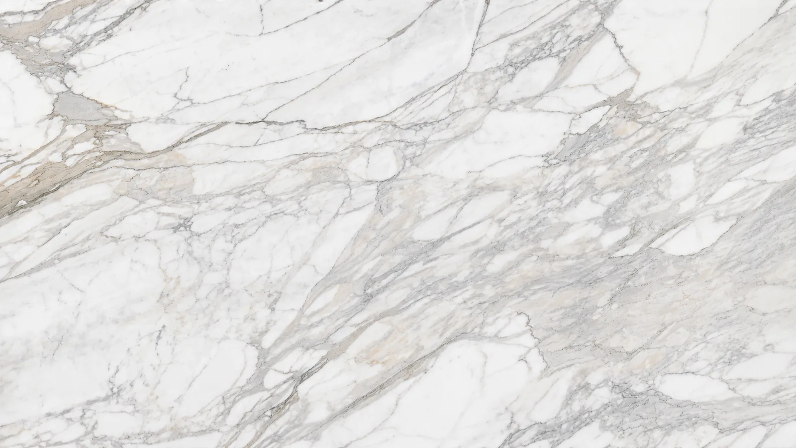 Calacatta White Natural Marble Tiles For Dining Tops thumbnail 1