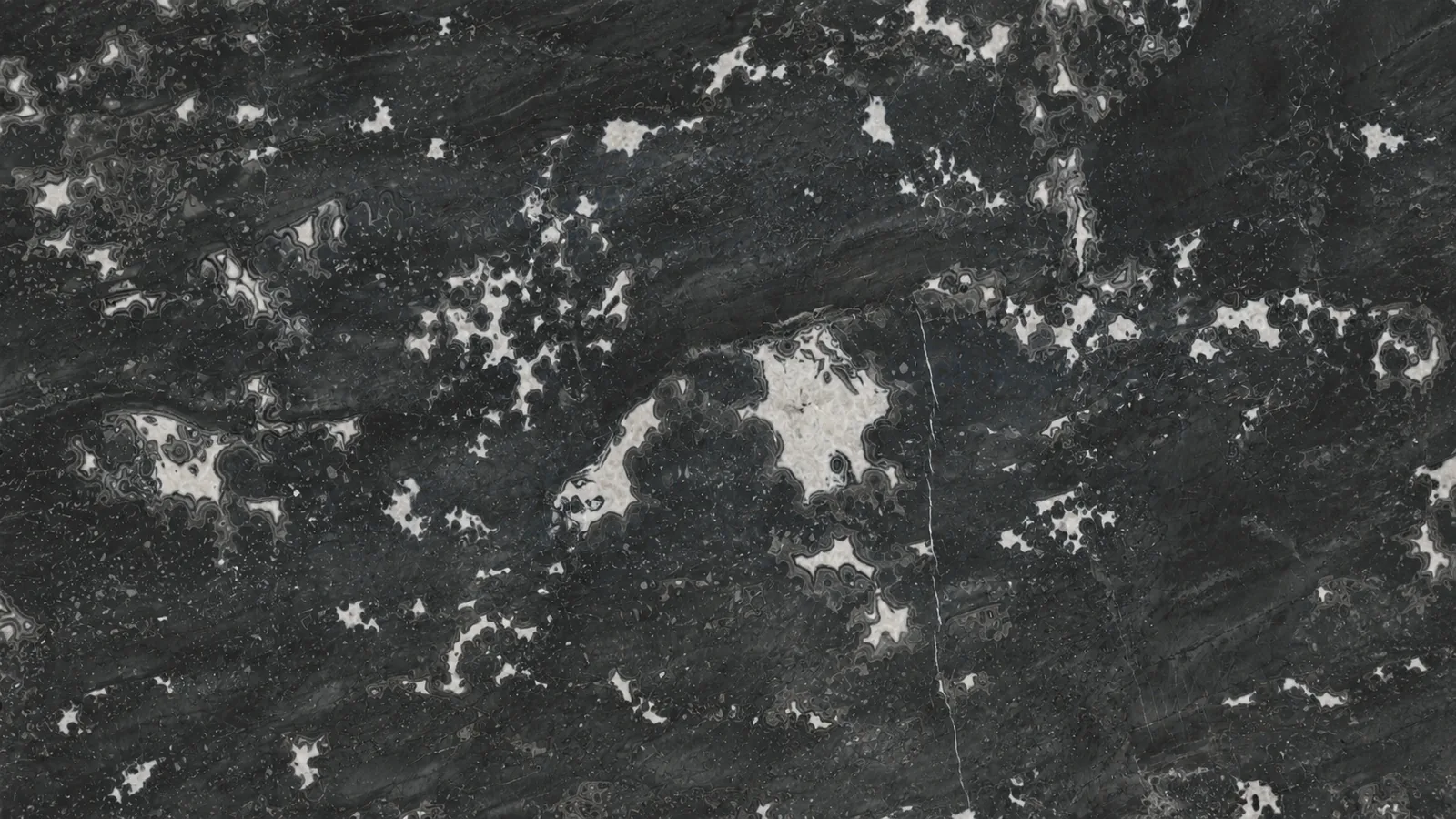 Chinese King Grey Color Marble Tiles  For Dining Tops thumbnail 4