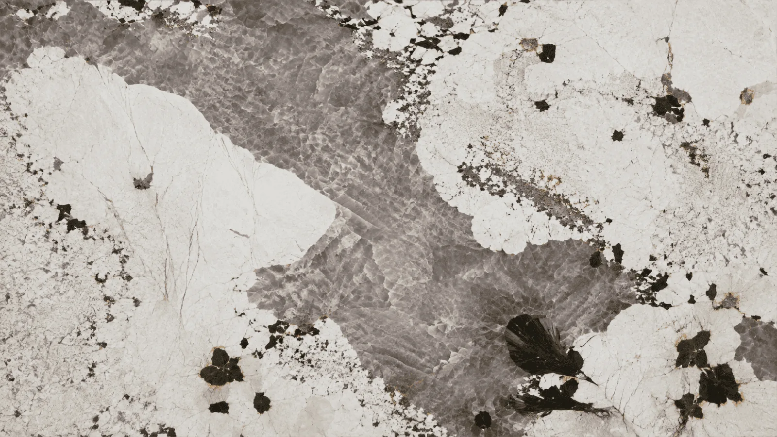 Grey Pandora Marble Tiles For Polished and Honed thumbnail 3