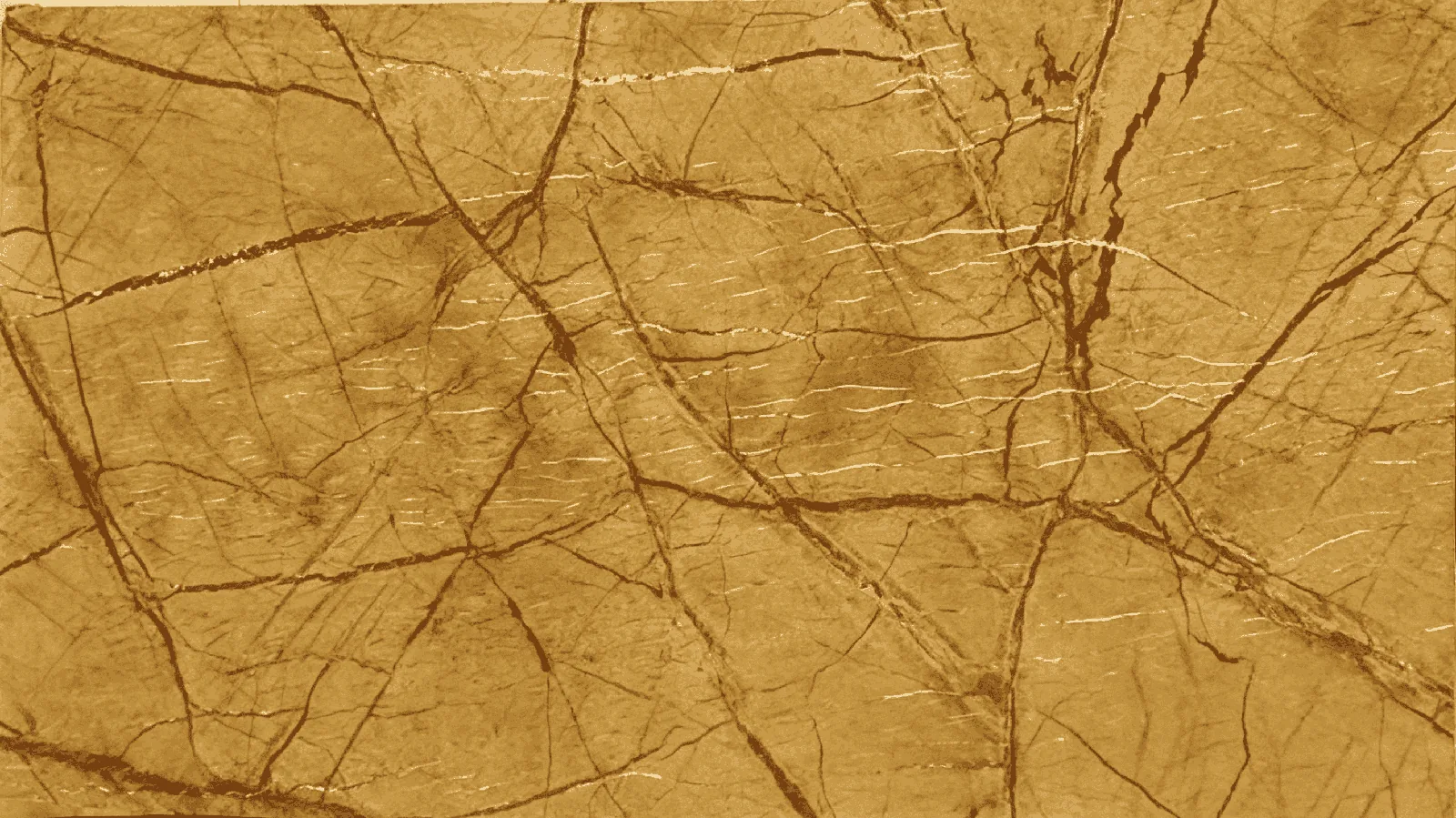 Gold Rainforest Gold India Marble Tiles for Floor Wall Countertop thumbnail 4