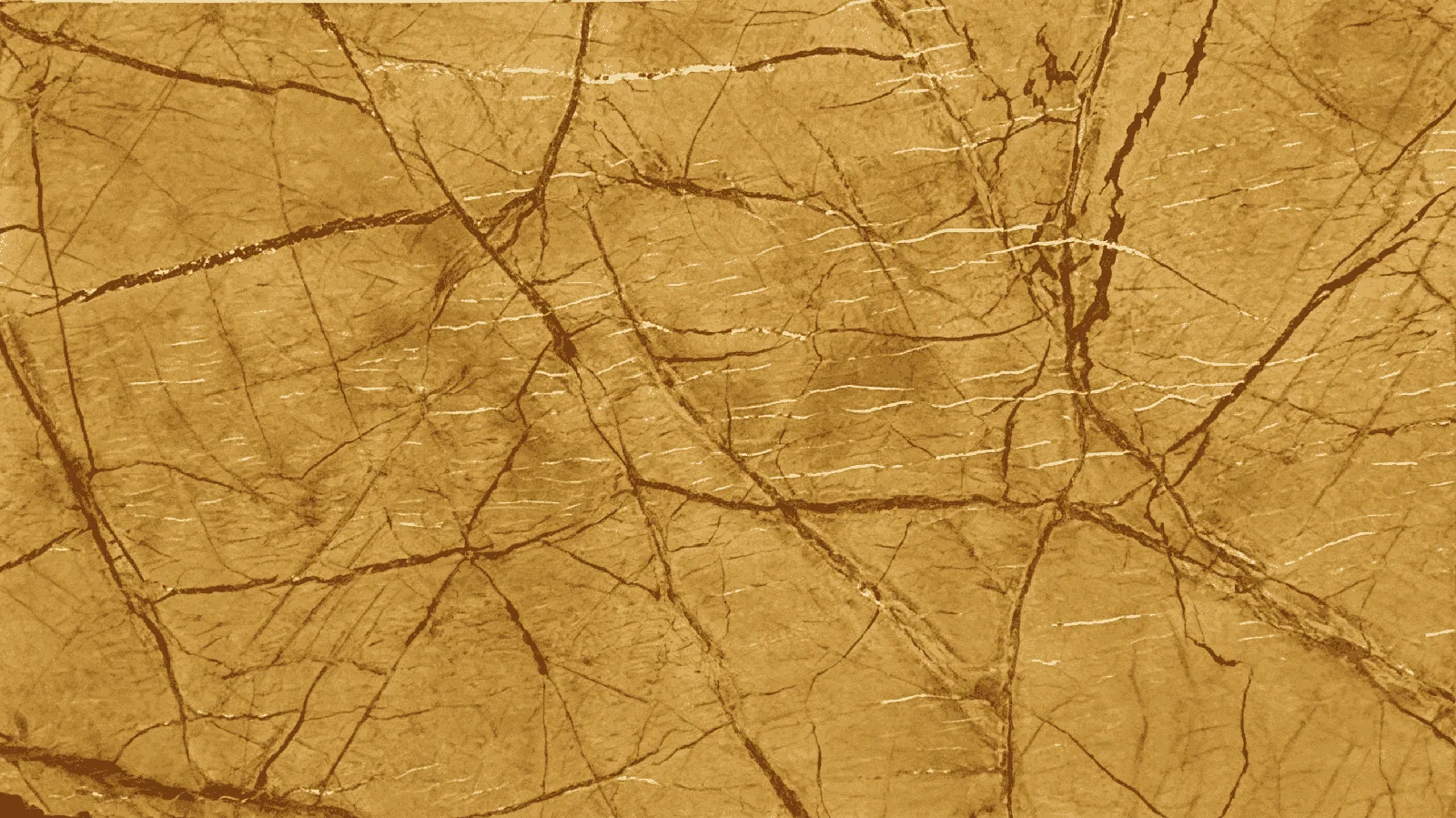 Gold Rainforest Gold India Marble Tiles for Floor Wall Countertop thumbnail 2