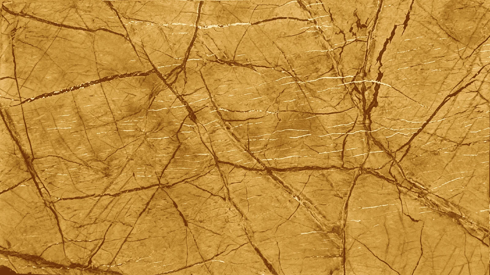Gold Rainforest Gold India Marble Tiles for Floor Wall Countertop thumbnail 1