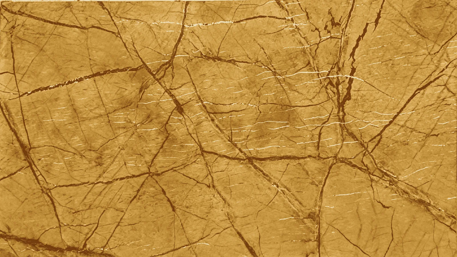 Gold Rainforest Gold India Marble Tiles for Floor Wall Countertop thumbnail 3