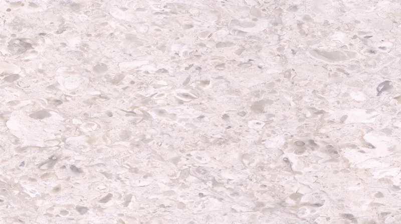White Vera Marble Natural Ivory Marble tiles For Flooring and Vanity Top thumbnail 4