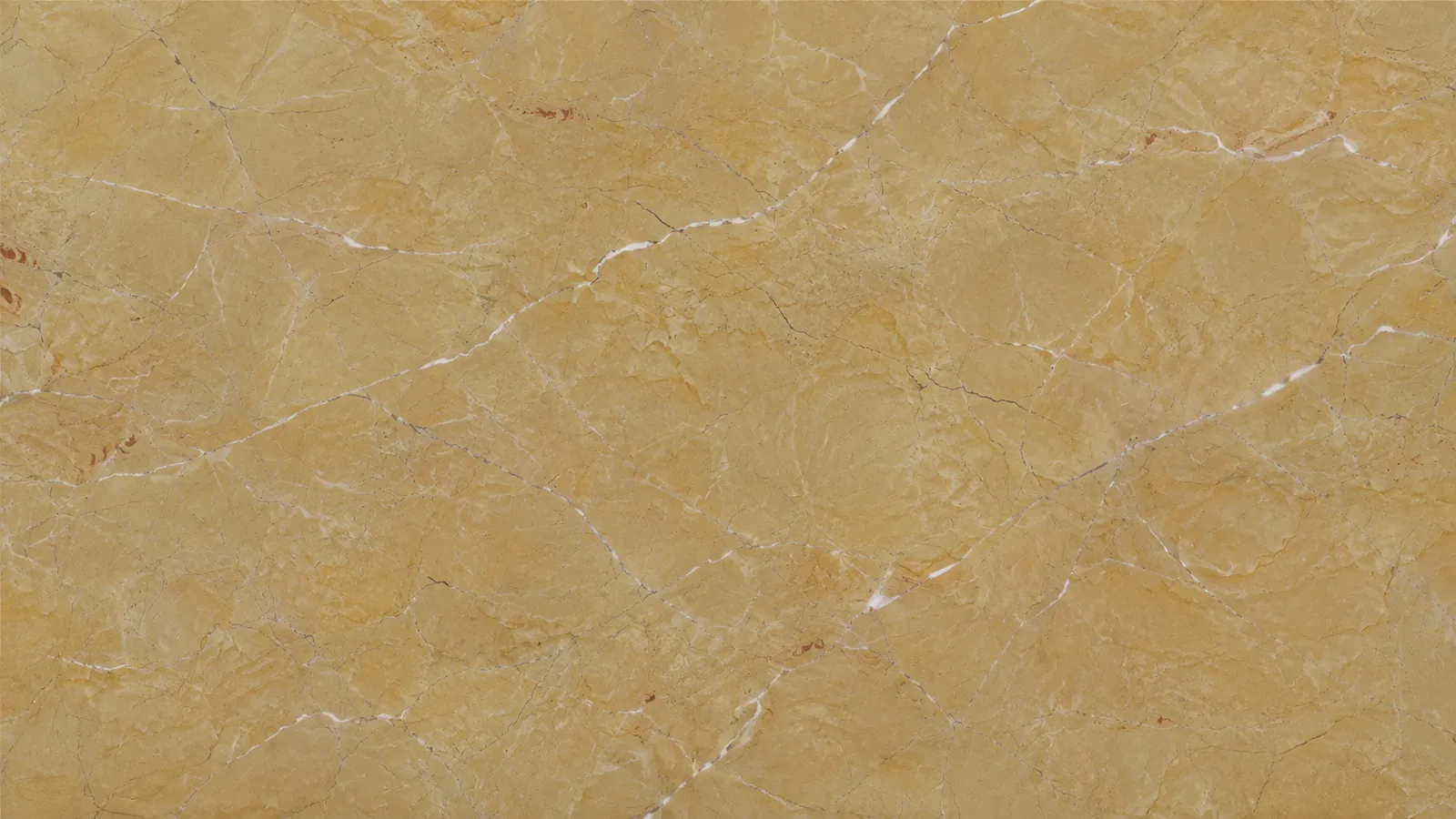 Spanish Gold Marble Natural Gold Marble tiles For Flooring and Vanity Top thumbnail 4