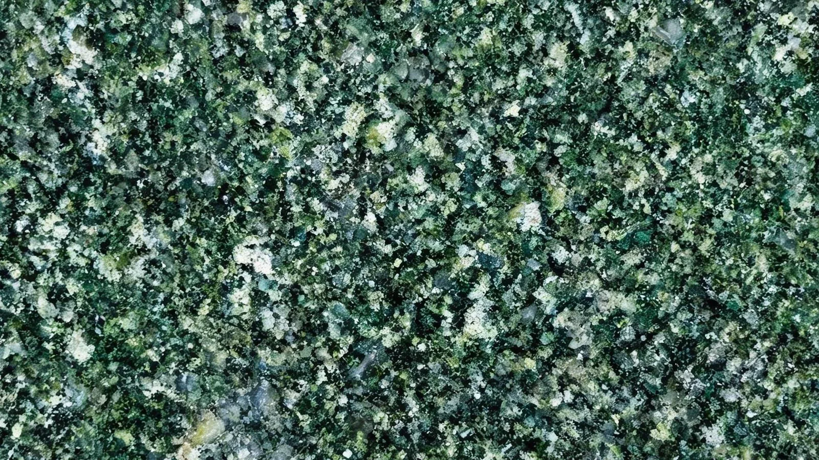 Green Hassan Granite Slabs for Floor and Wall thumbnail 1