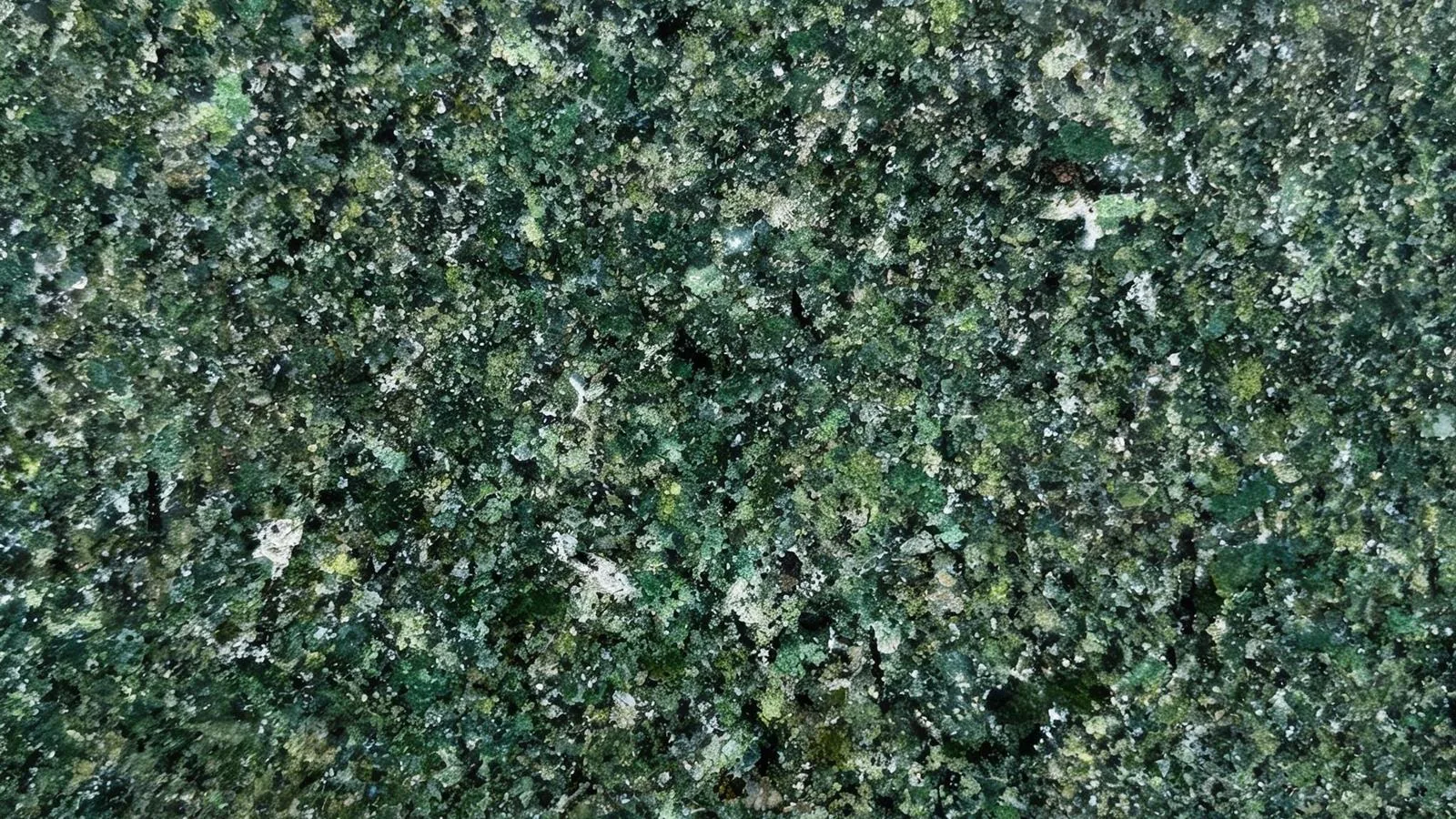 Green Hassan Granite Slabs for Floor and Wall thumbnail 3