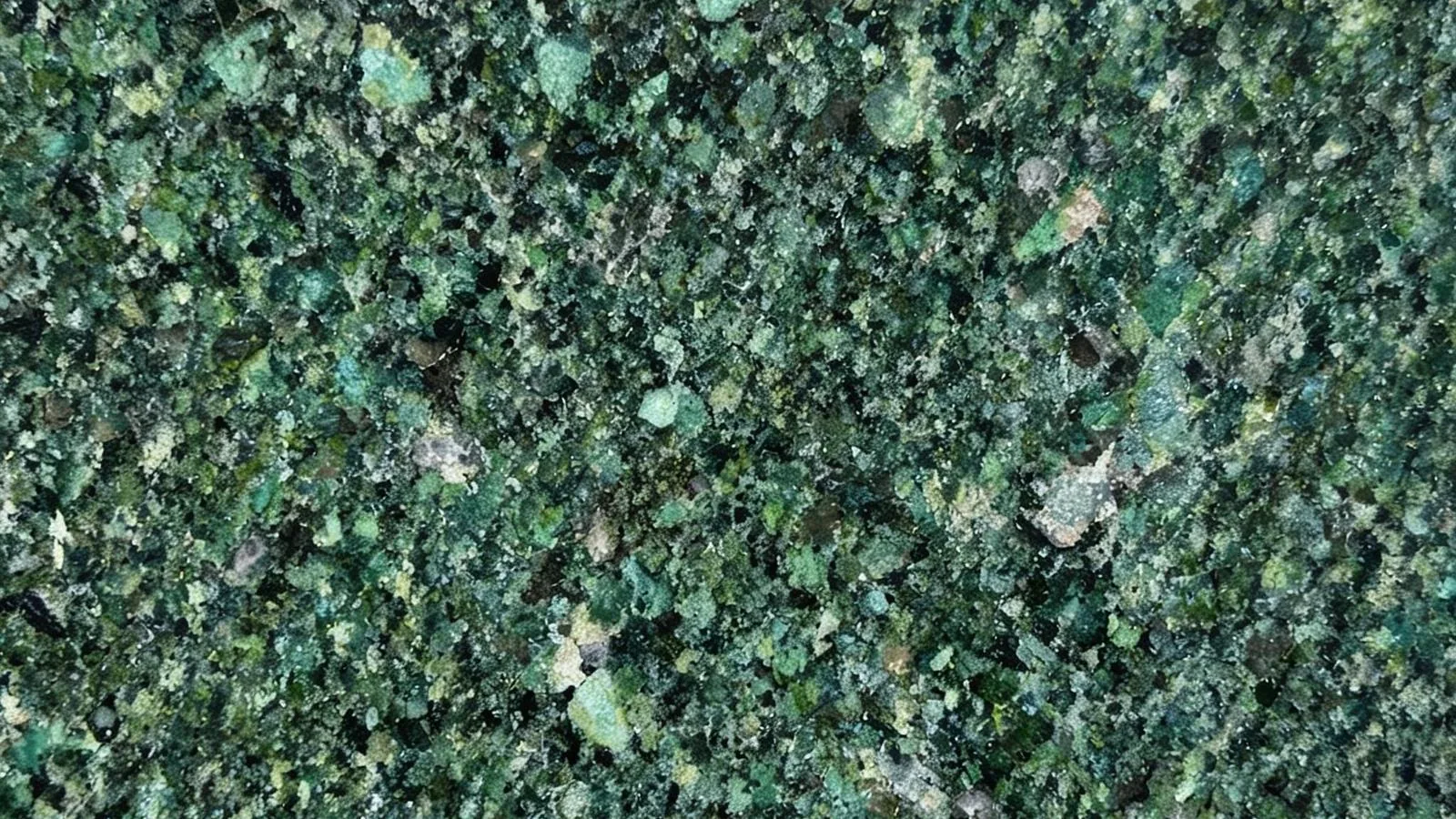 Green Devra Granite Slabs for Floor and Wall thumbnail 1