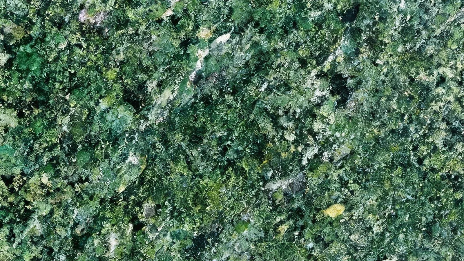 Green Amazon Granite Slabs for Floor and Wall thumbnail 3