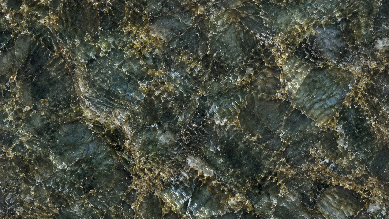 Green Verde Butterfly Polished Granite Slabs for Floor and Wall thumbnail 1