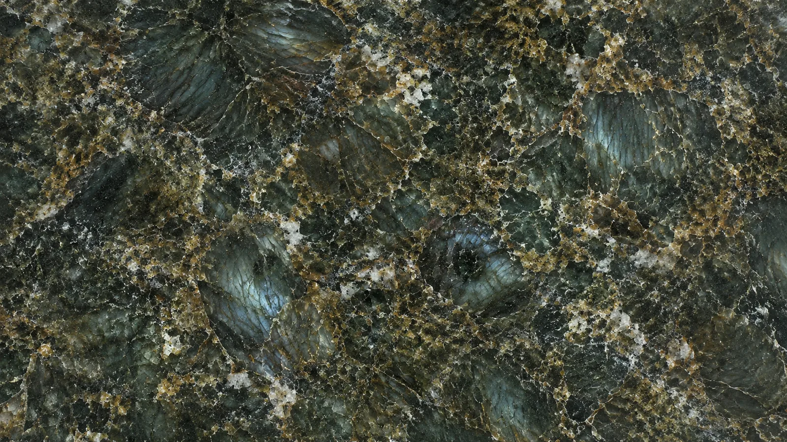 Green Verde Butterfly Polished Granite Slabs for Floor and Wall thumbnail 2