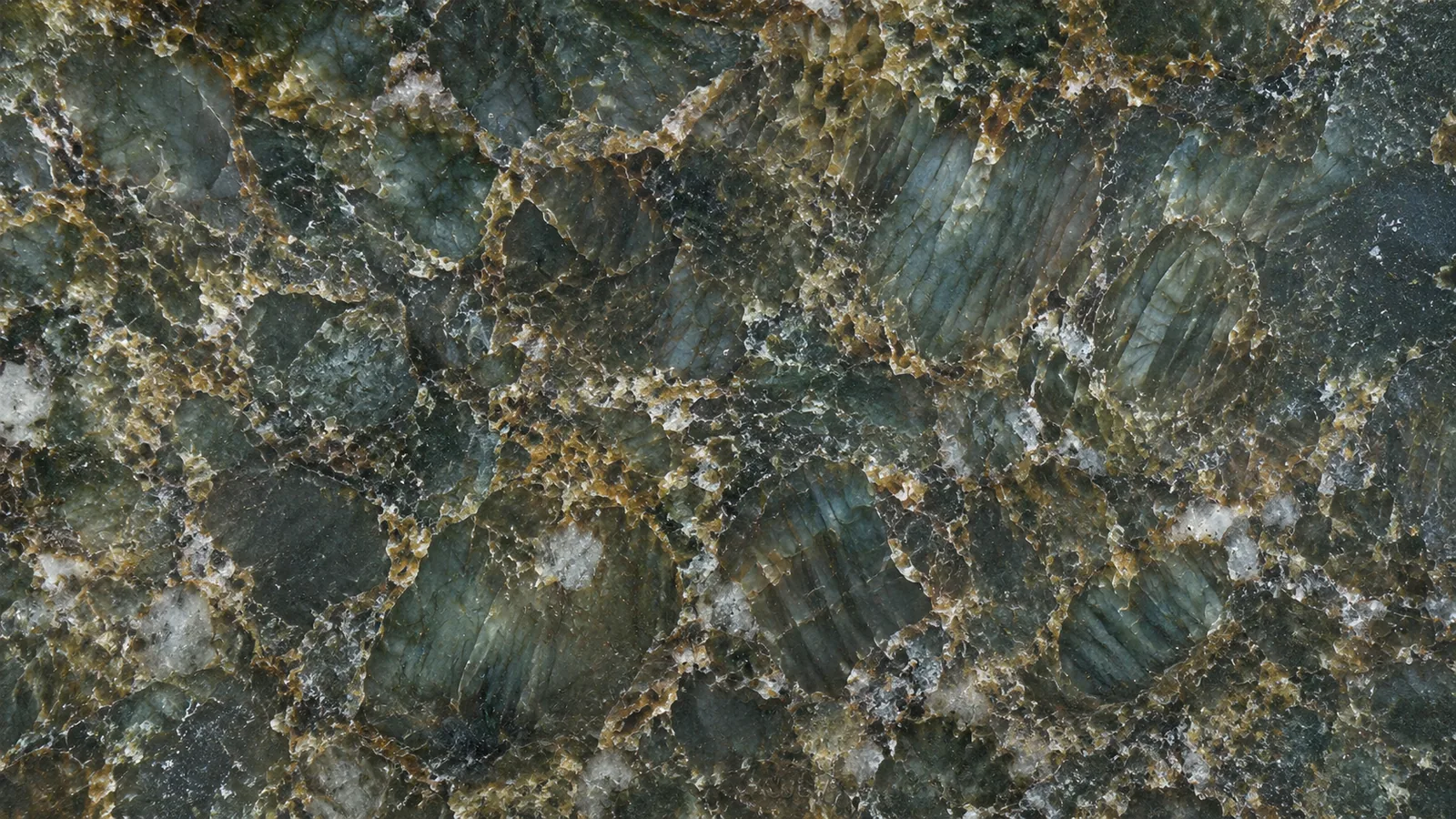 Green Verde Butterfly Polished Granite Slabs for Floor and Wall thumbnail 4