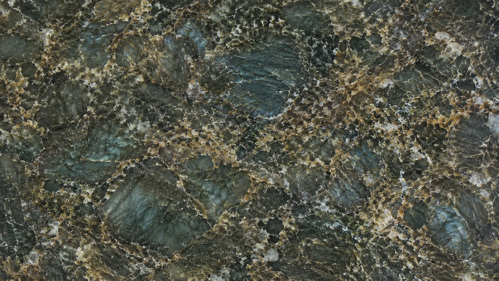 Green Verde Butterfly Polished Granite Slabs for Floor and Wall thumbnail 5