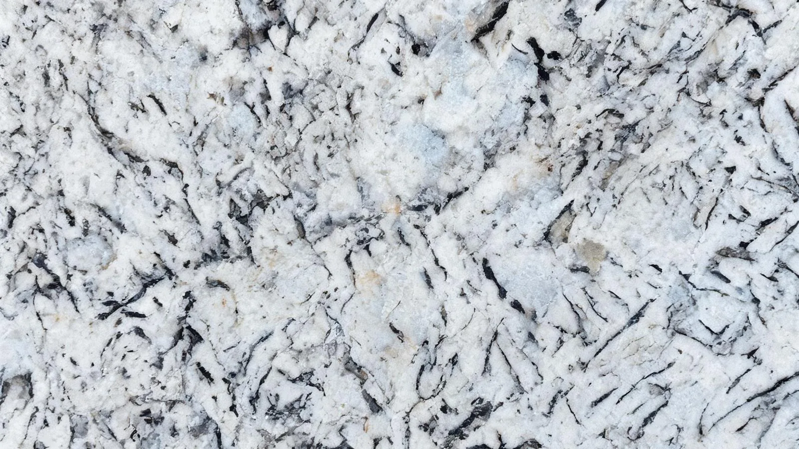 White Alaska Granite Slabs for Floor and Wall