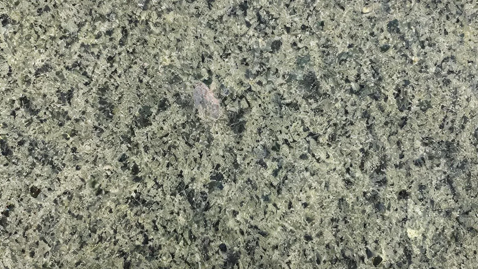 Green Verdi Ghazal Granite Slabs for Floor and Wall