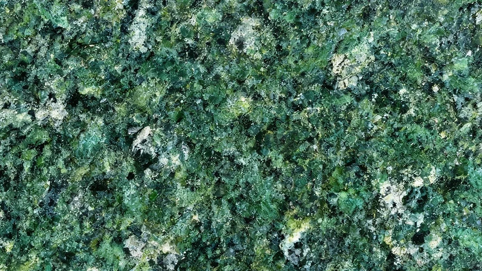 Green Amazon Granite Slabs for Floor and Wall