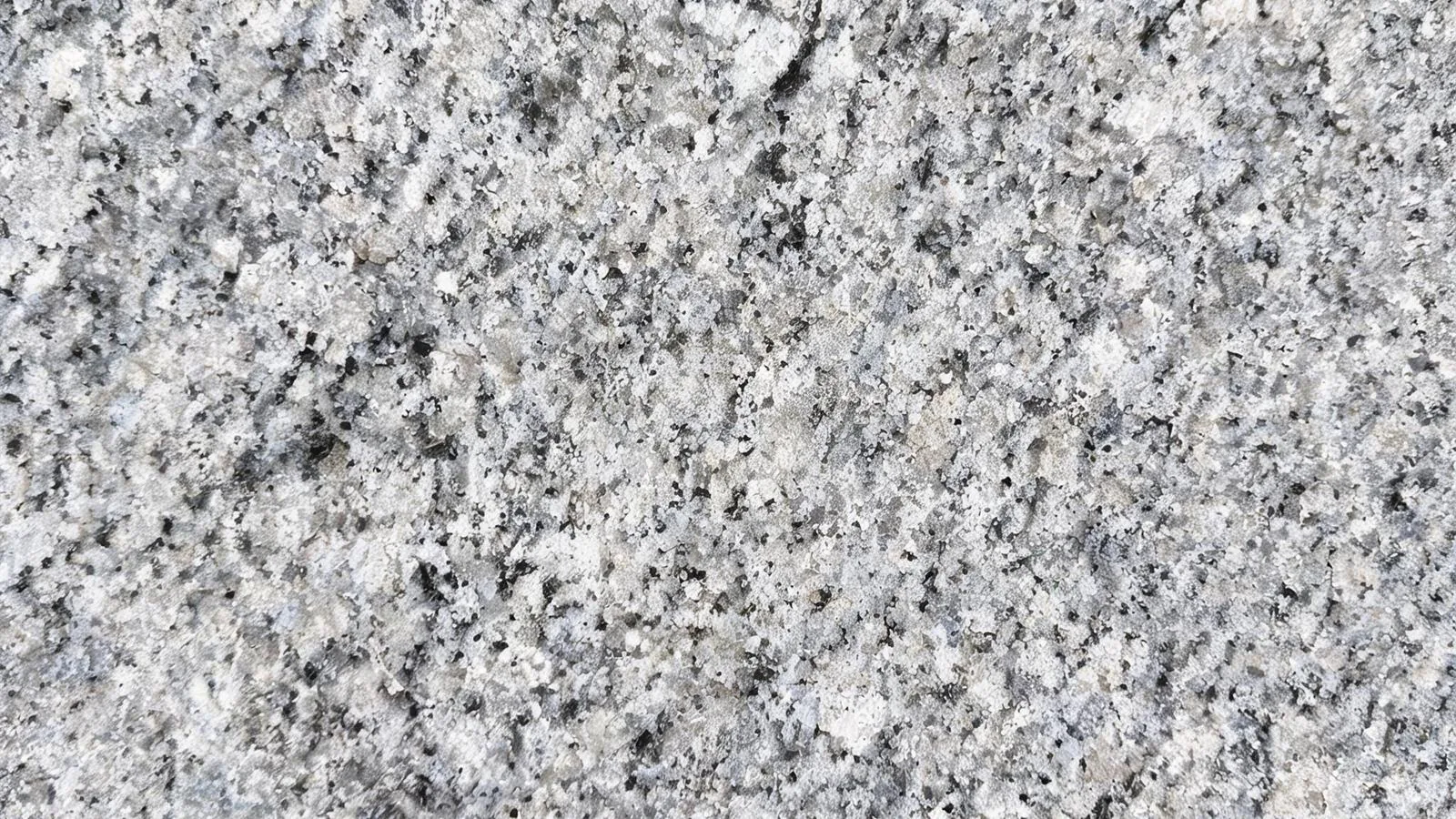 Grey G603 Granite Slabs for Floor and Wall
