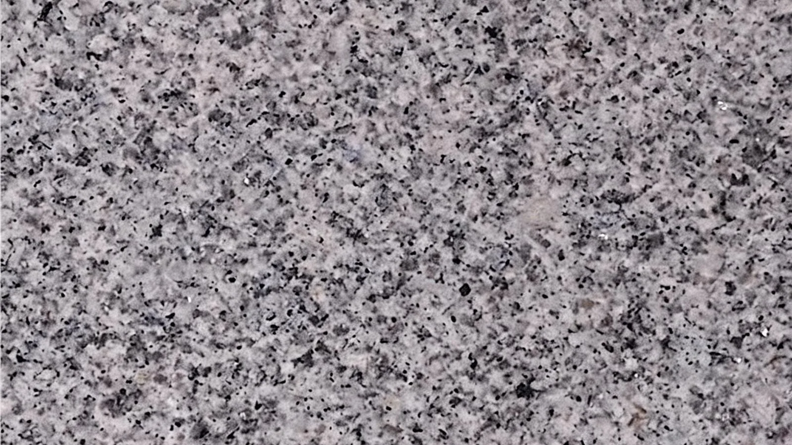 Grey Silvestre Gris Granite Slabs for Floor and Wall