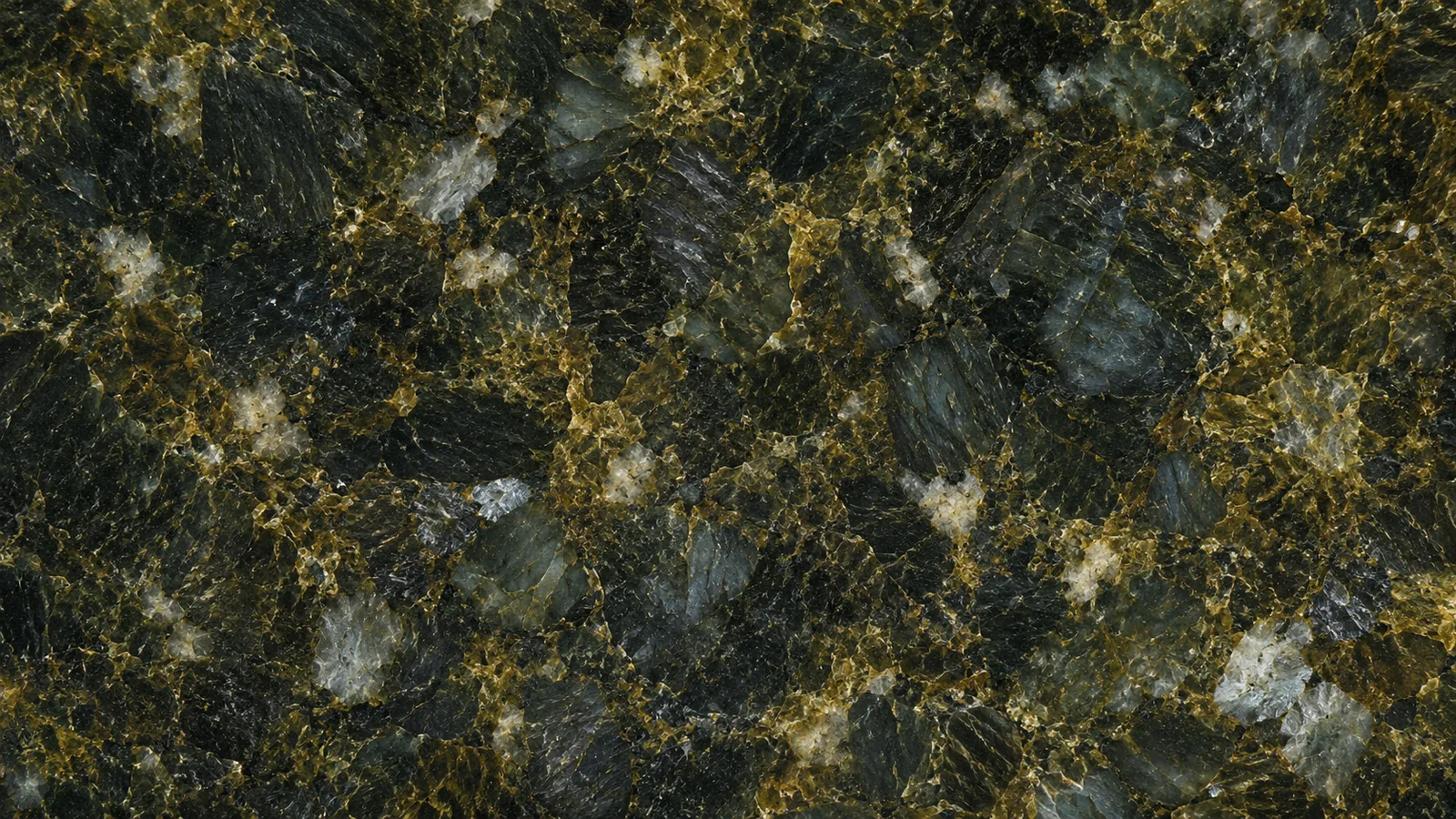 Green Verde Butterfly Granite Slabs for Floor and Wall
