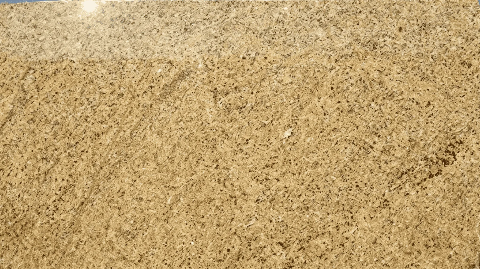 Venetian Gold Granite Slabs for Floor and Wall