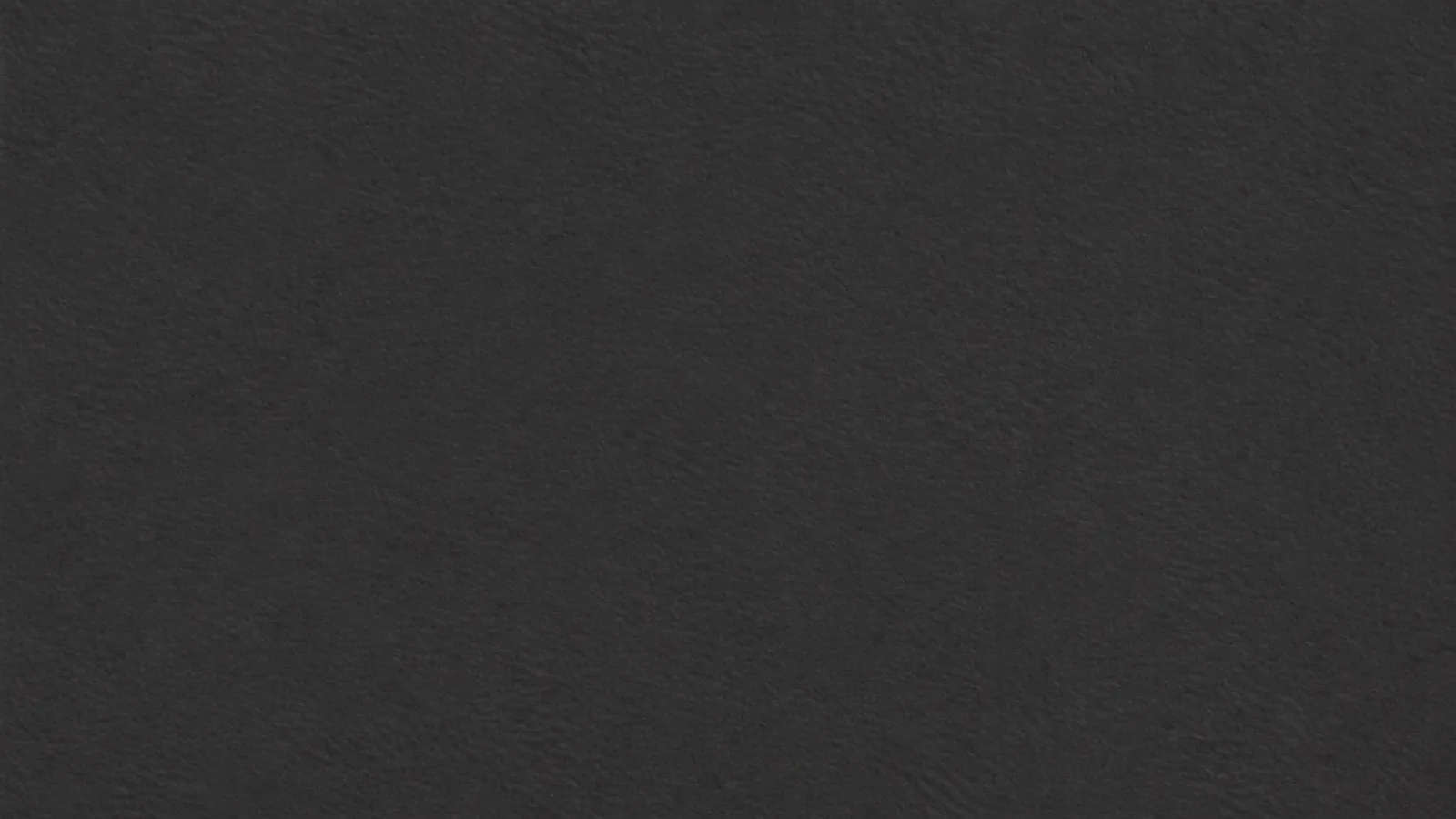 Black Cloud Shell Sintered Stone Slab for Interior Wall Cladding