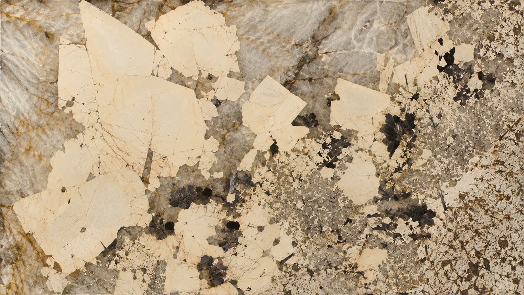 Brown Color Patagonia Marble Slabs thumbnail 3