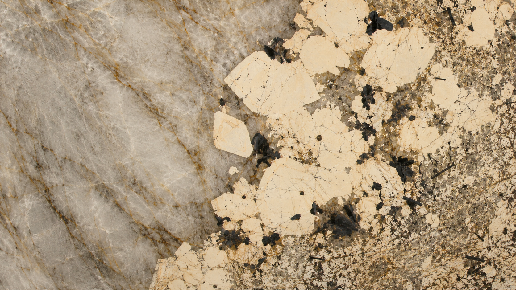 Brown Color Patagonia Marble Slabs thumbnail 4