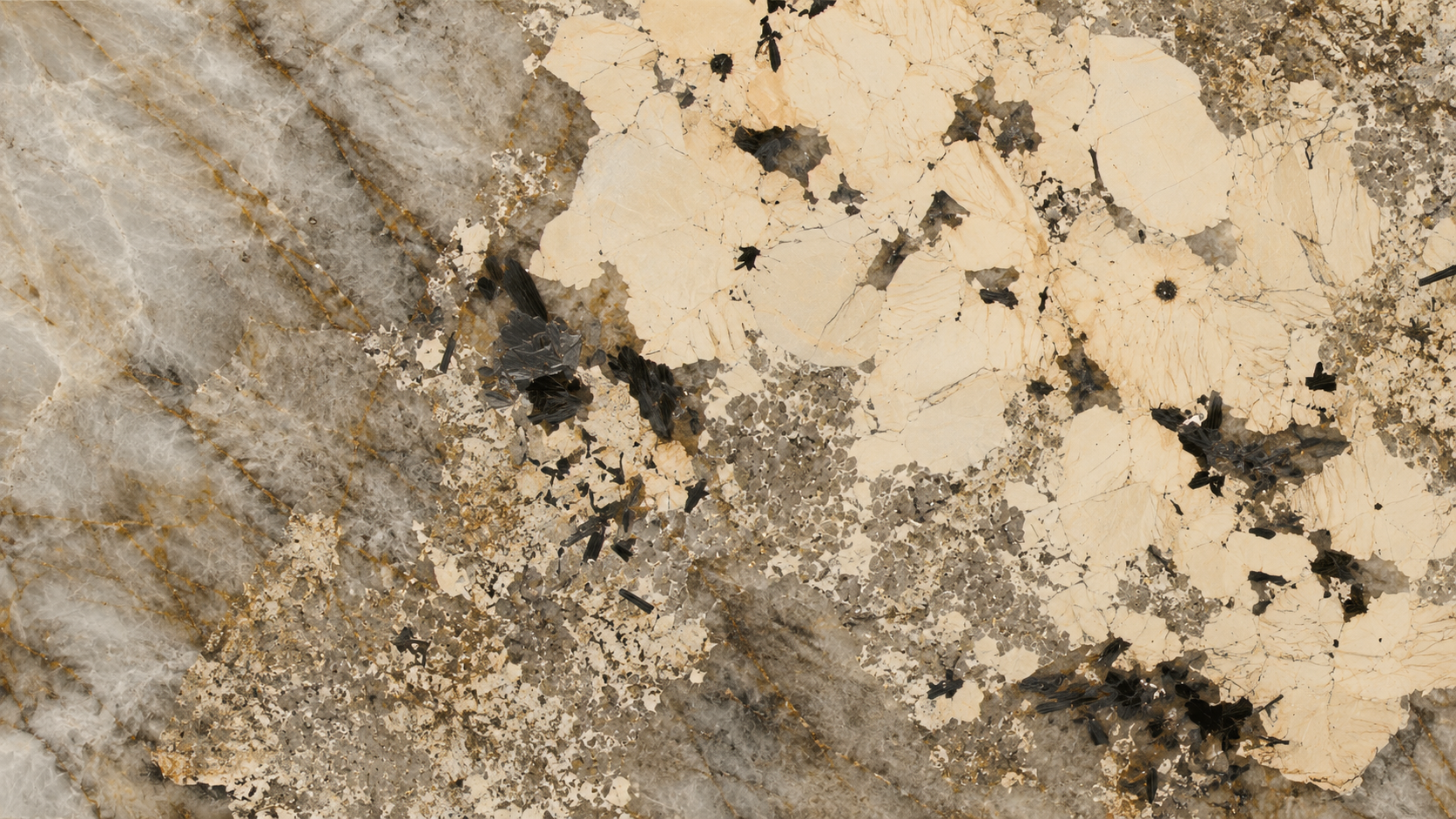 Brown Color Patagonia Marble Slabs thumbnail 2