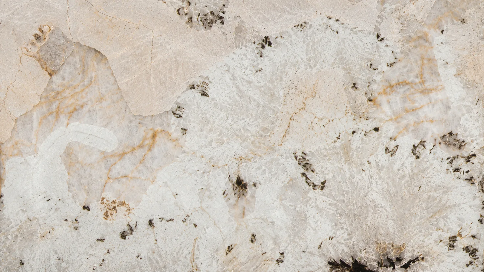 Peacock Opening White Quartzite Luxury Slabs For Dining Tops thumbnail 2