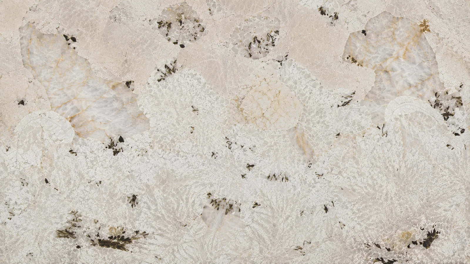 Peacock Opening White Quartzite Luxury Slabs For Dining Tops thumbnail 4