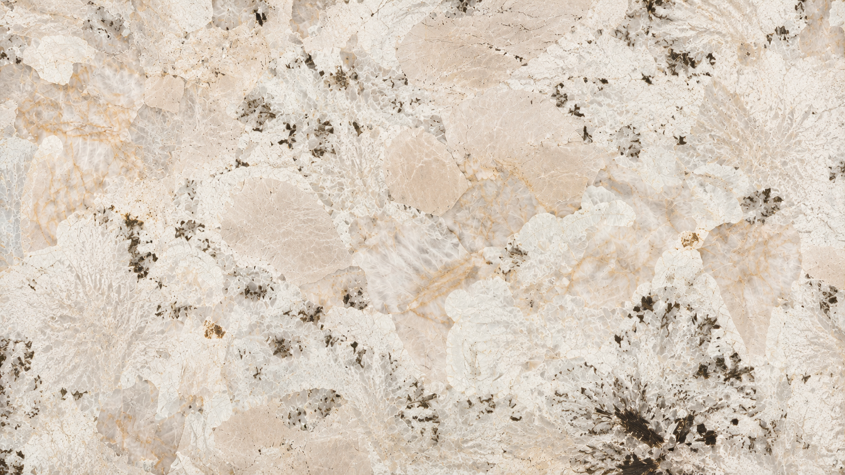 Peacock Opening White Quartzite Luxury Slabs thumbnail 3