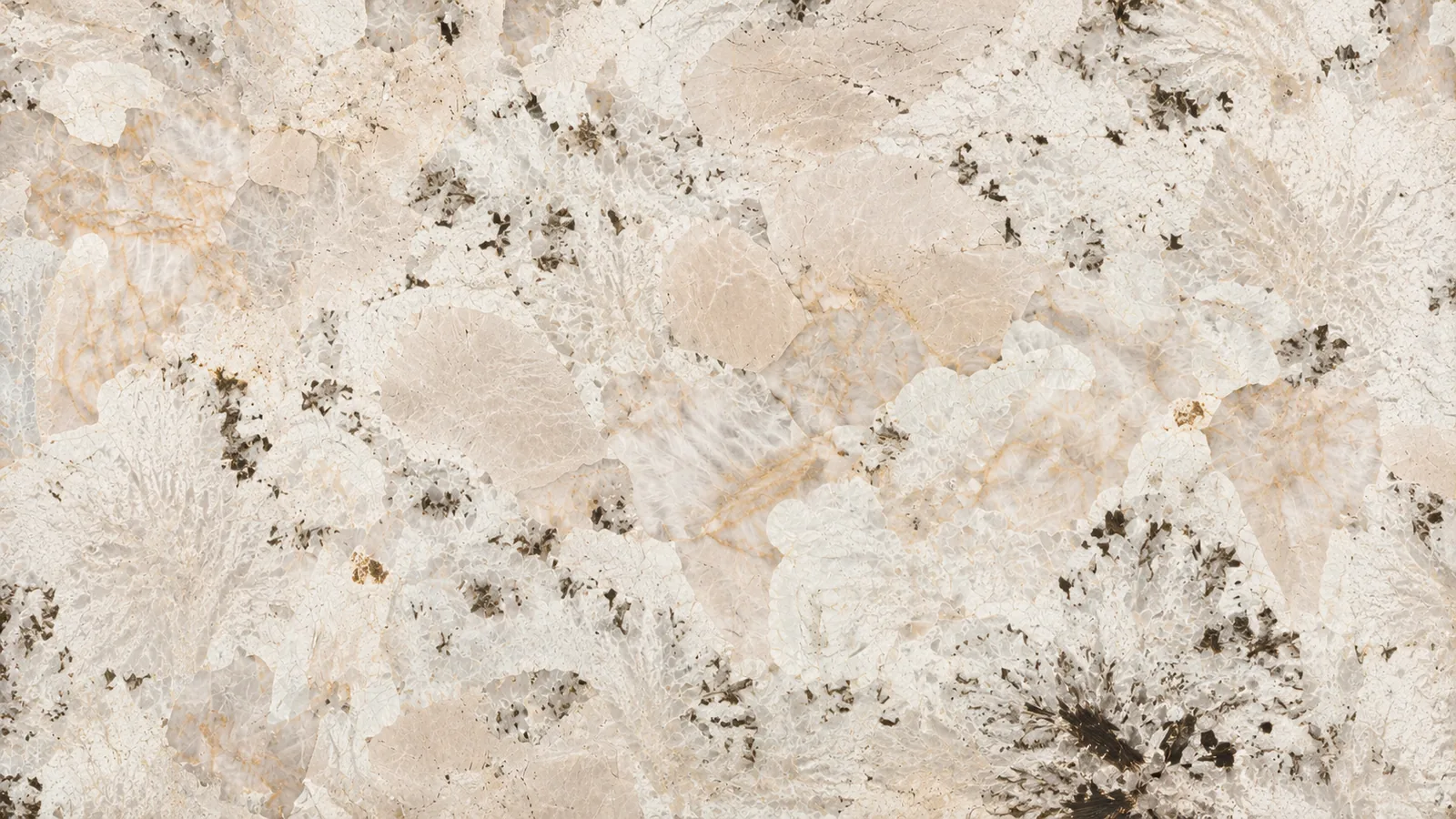 Peacock Opening White Quartzite Luxury Slabs For Dining Tops thumbnail 3