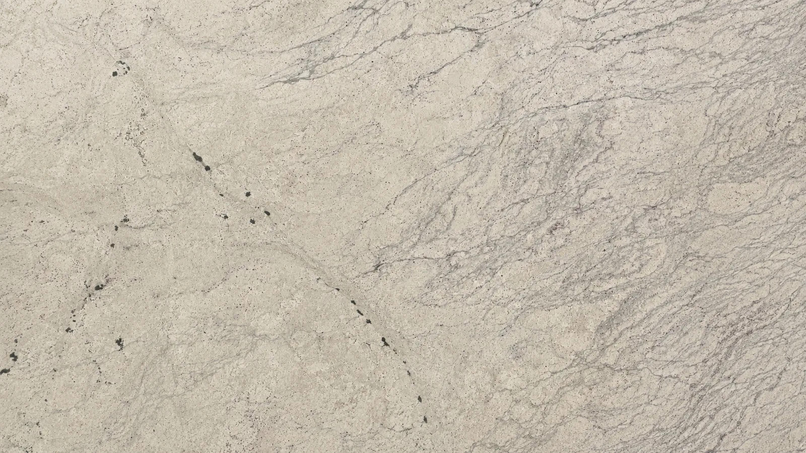 Roman White Color Marble Slabs For Flooring and Wall thumbnail 4