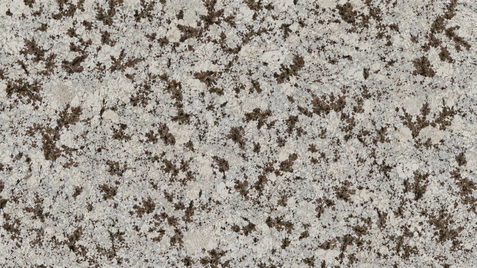 Snow Mountain Orchid White Granite Luxury Slabs For Dining Tops thumbnail 3