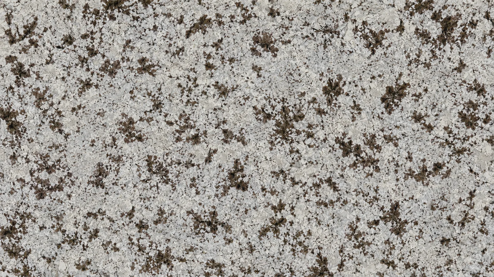 Snow Mountain Orchid White Granite Luxury Slabs For Dining Tops thumbnail 4