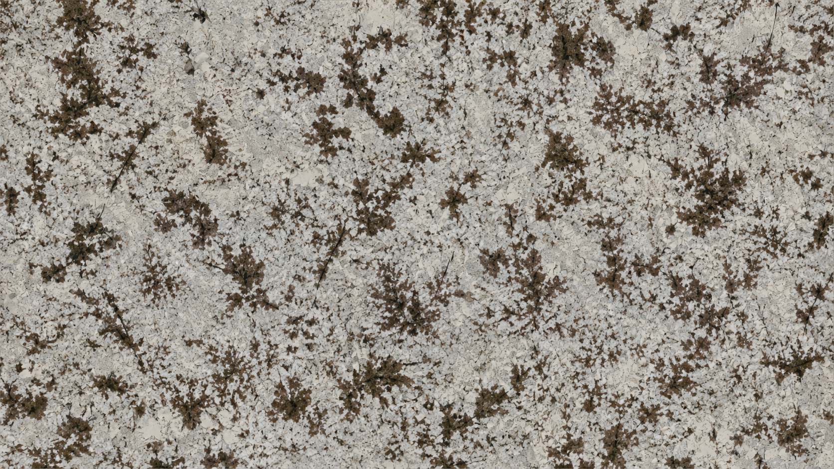 Snow Mountain Orchid White Granite Luxury Slabs