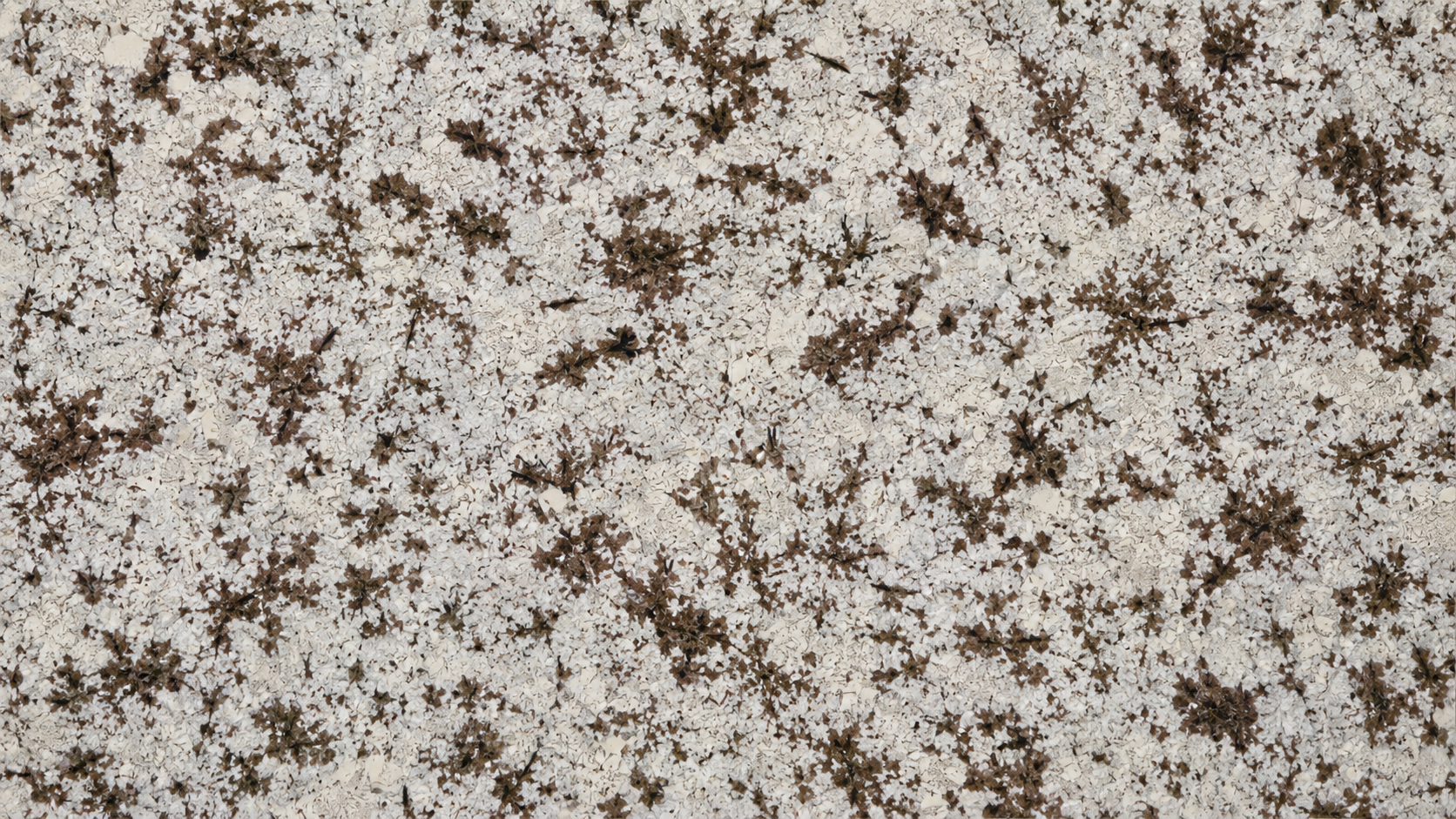 Snow Mountain Orchid White Granite Luxury Slabs thumbnail 2