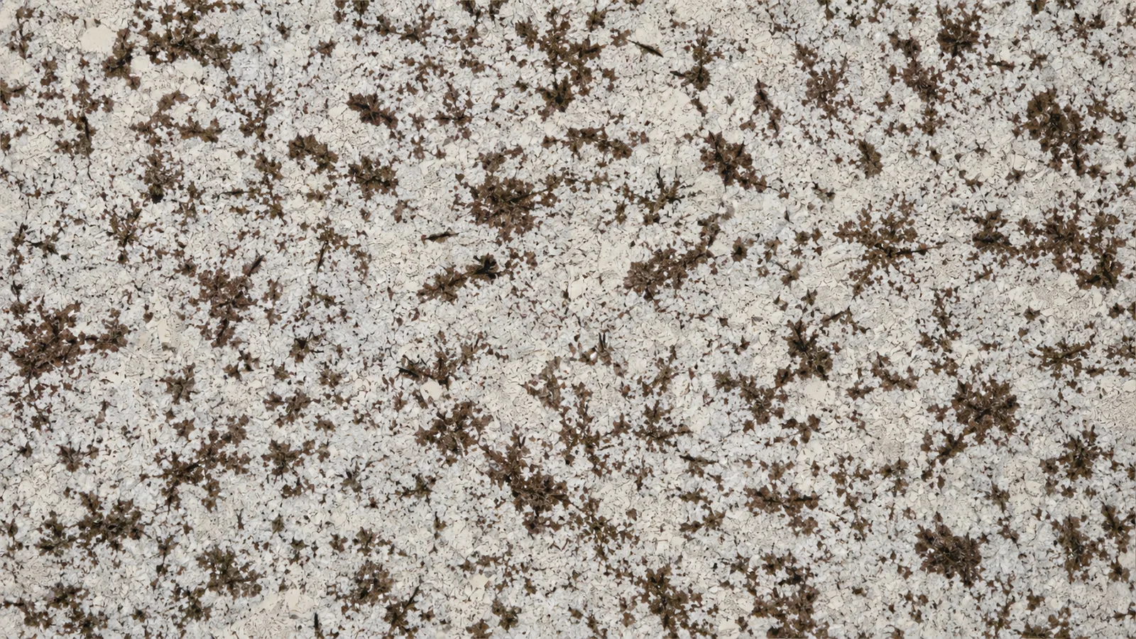 Snow Mountain Orchid White Granite Luxury Slabs For Dining Tops thumbnail 2