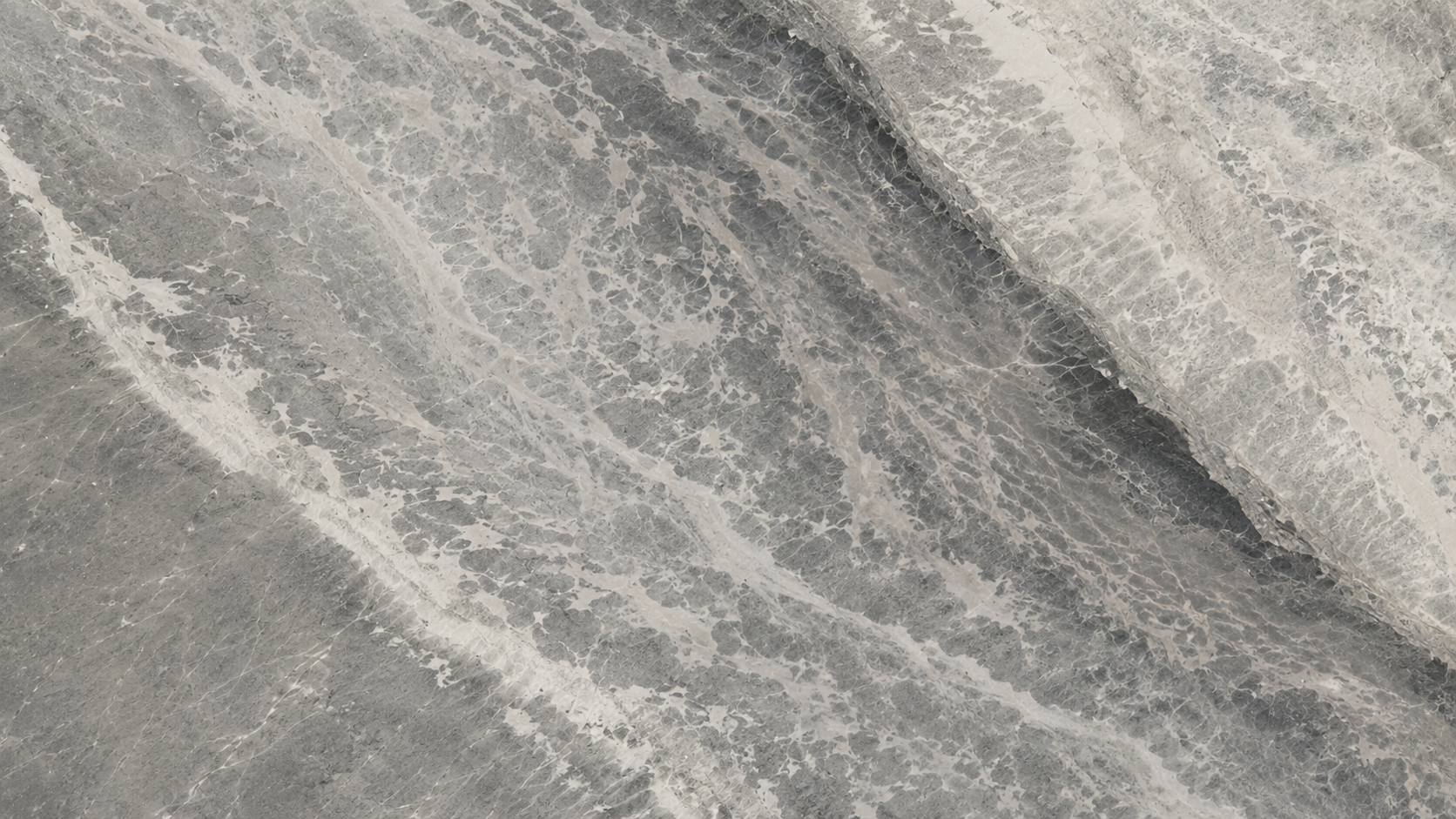 Ink Painting Black Quartzite Luxury Slabs