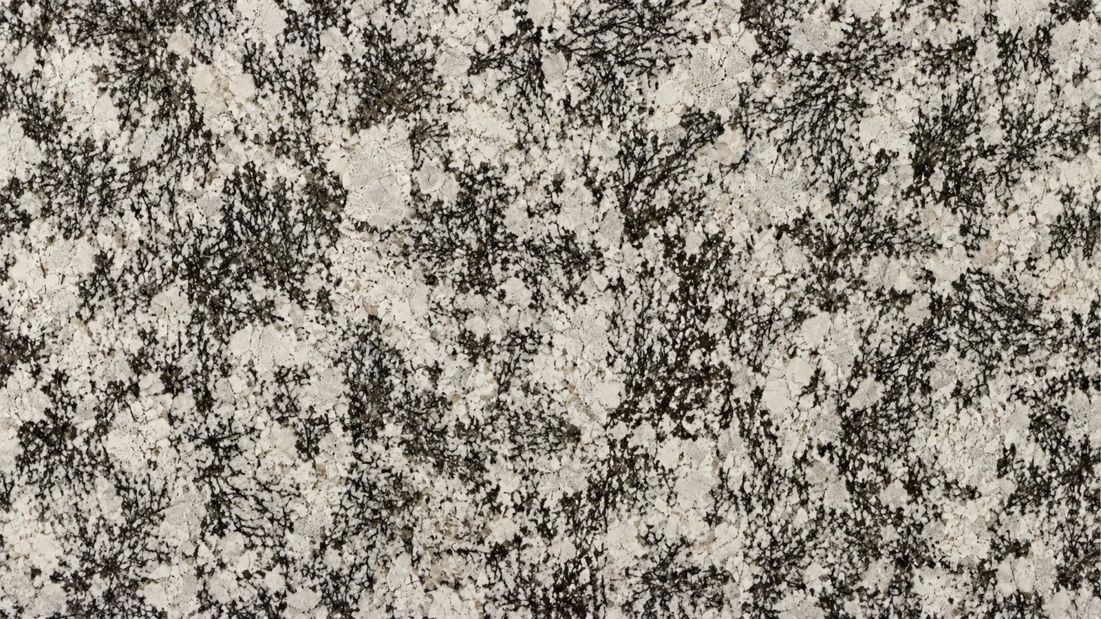 Splendor White Granite Luxury Slabs For Stairs thumbnail 4