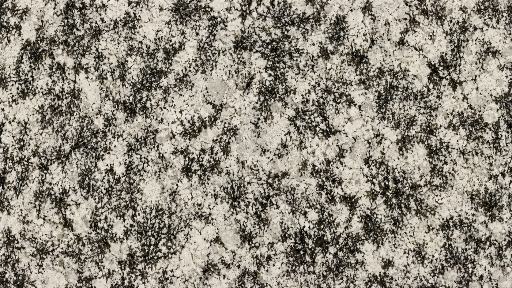 Splendor White Granite Luxury Slabs For Stairs thumbnail 2