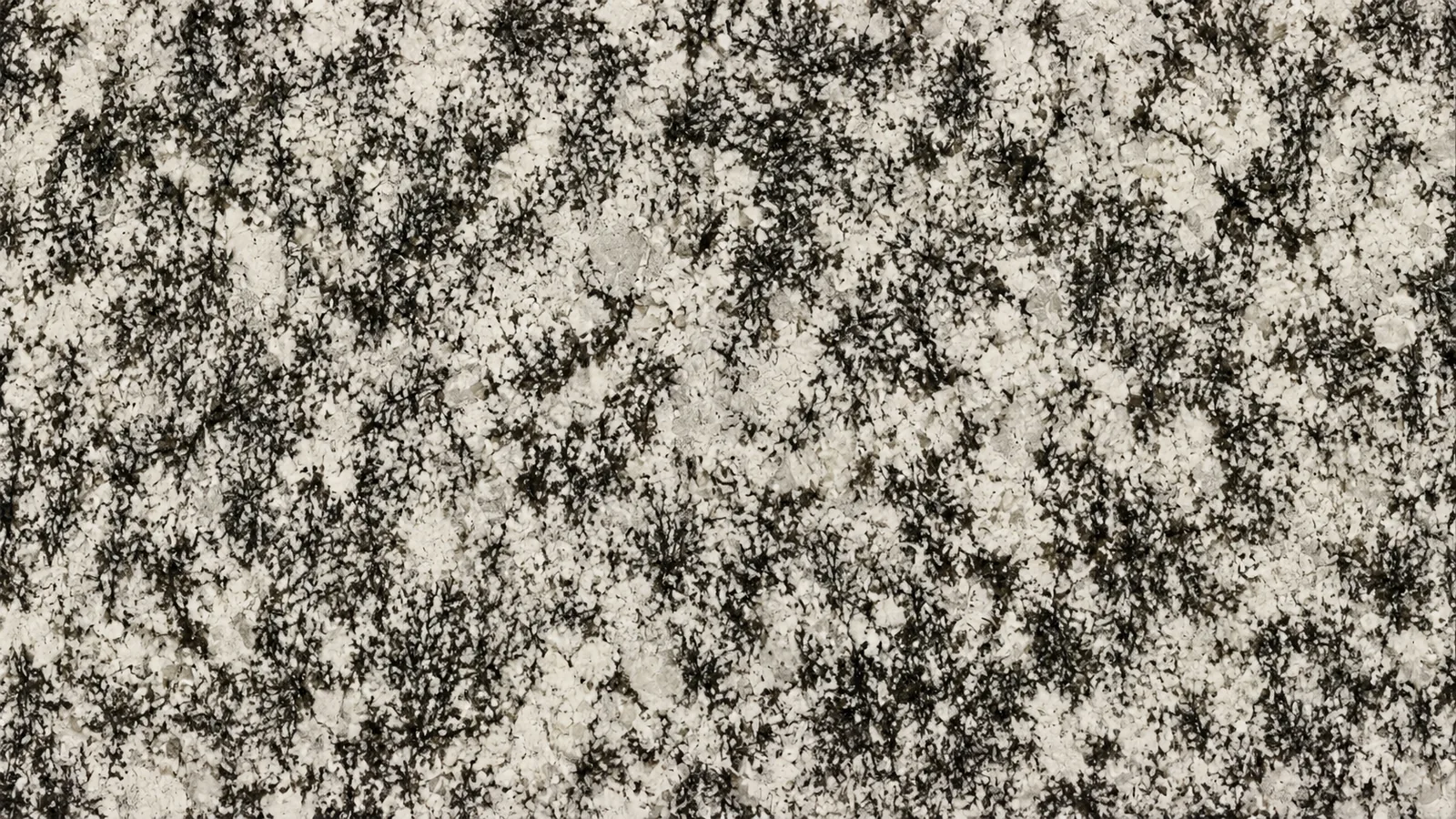 Splendor White Granite Luxury Slabs For Stairs thumbnail 2