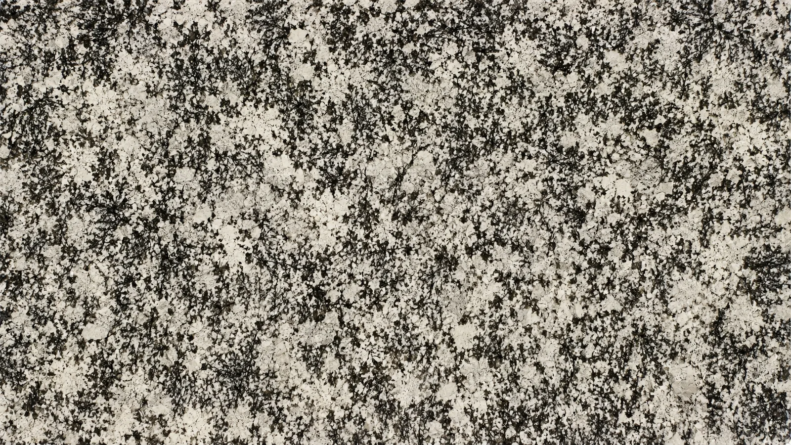 Splendor White Granite Luxury Slabs For Stairs