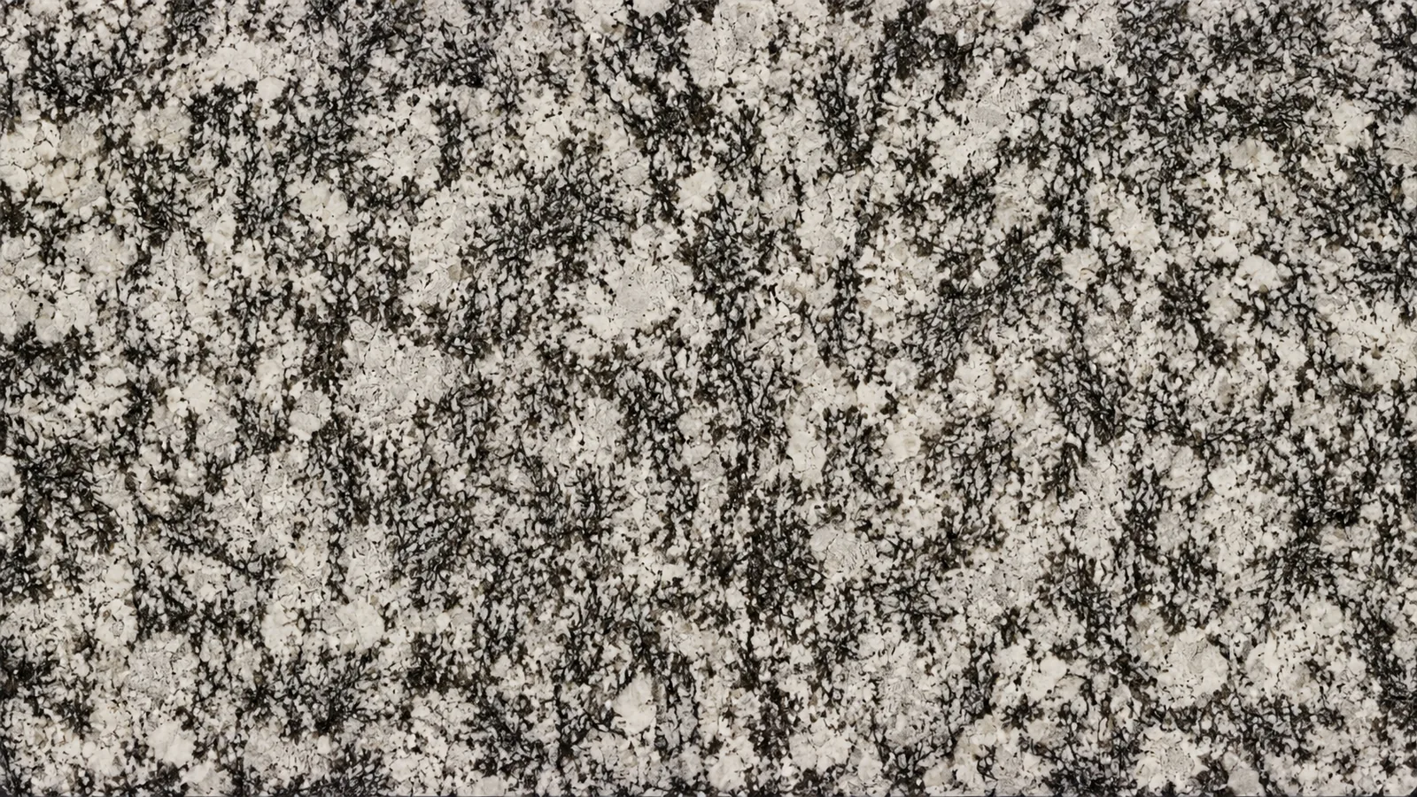Splendor White Granite Luxury Slabs For Stairs thumbnail 3
