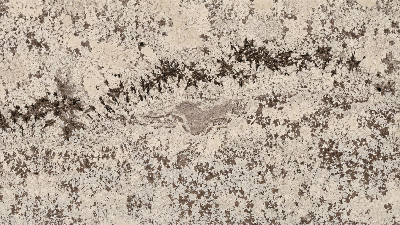 Blanco Potiguar Brown Granite Luxury Slabs For Dining Tops