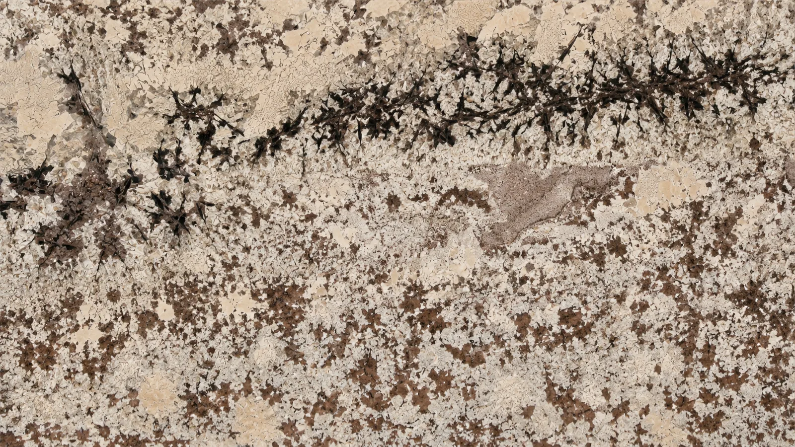 Blanco Potiguar Brown Granite Luxury Slabs For Dining Tops thumbnail 3