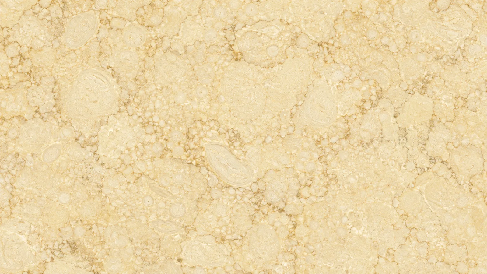 Sunny Gold Marble Natural Gold Marble slabs For Flooring and Vanity Top thumbnail 2