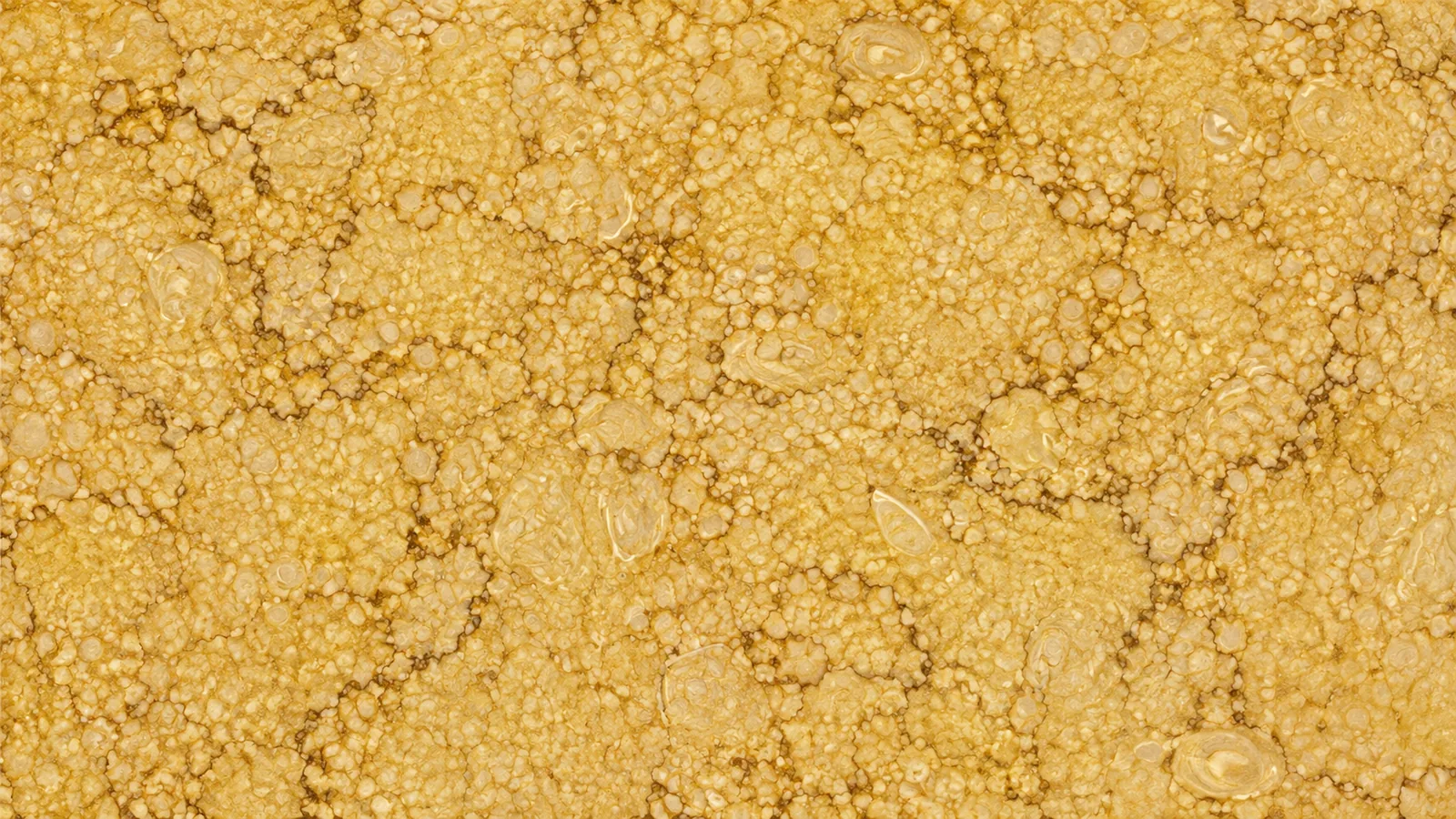 Sunny Gold Marble Natural Gold Marble slabs For Flooring and Vanity Top thumbnail 3