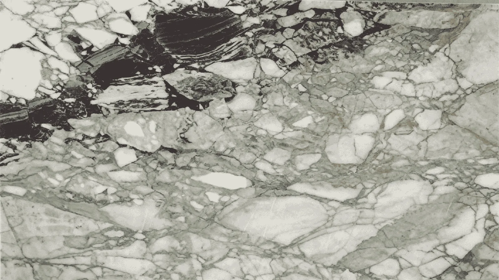 Turkish Calacatta Viola Green Marble  Big Slabs for Floor Wall Countertop thumbnail 2